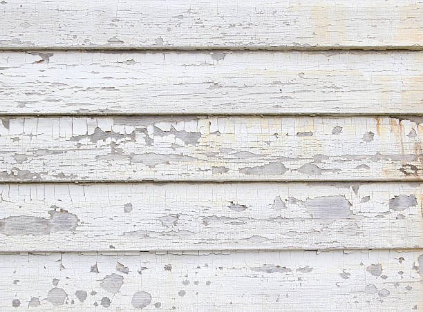 Best Siding Painting and Refinishing  in Frontenac, KS